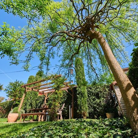 Avantgarden Umag Exteriér fotografie