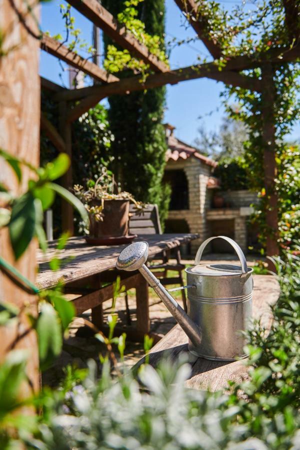 Avantgarden Umag Exteriér fotografie